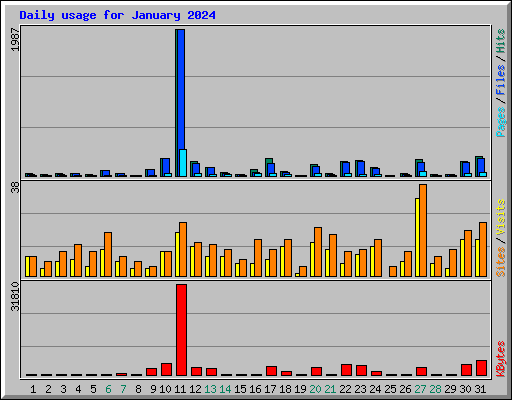 Daily usage for January 2024