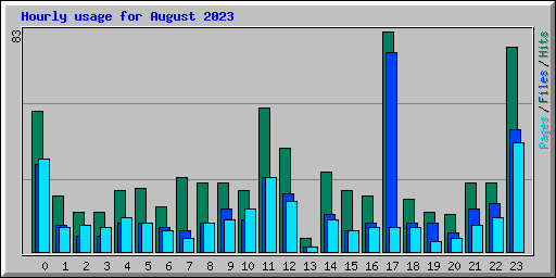 Hourly usage for August 2023